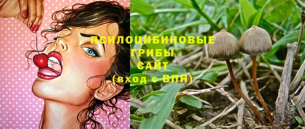 твердый Дмитров